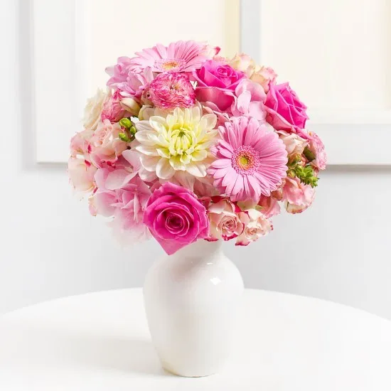 Pink Harmony