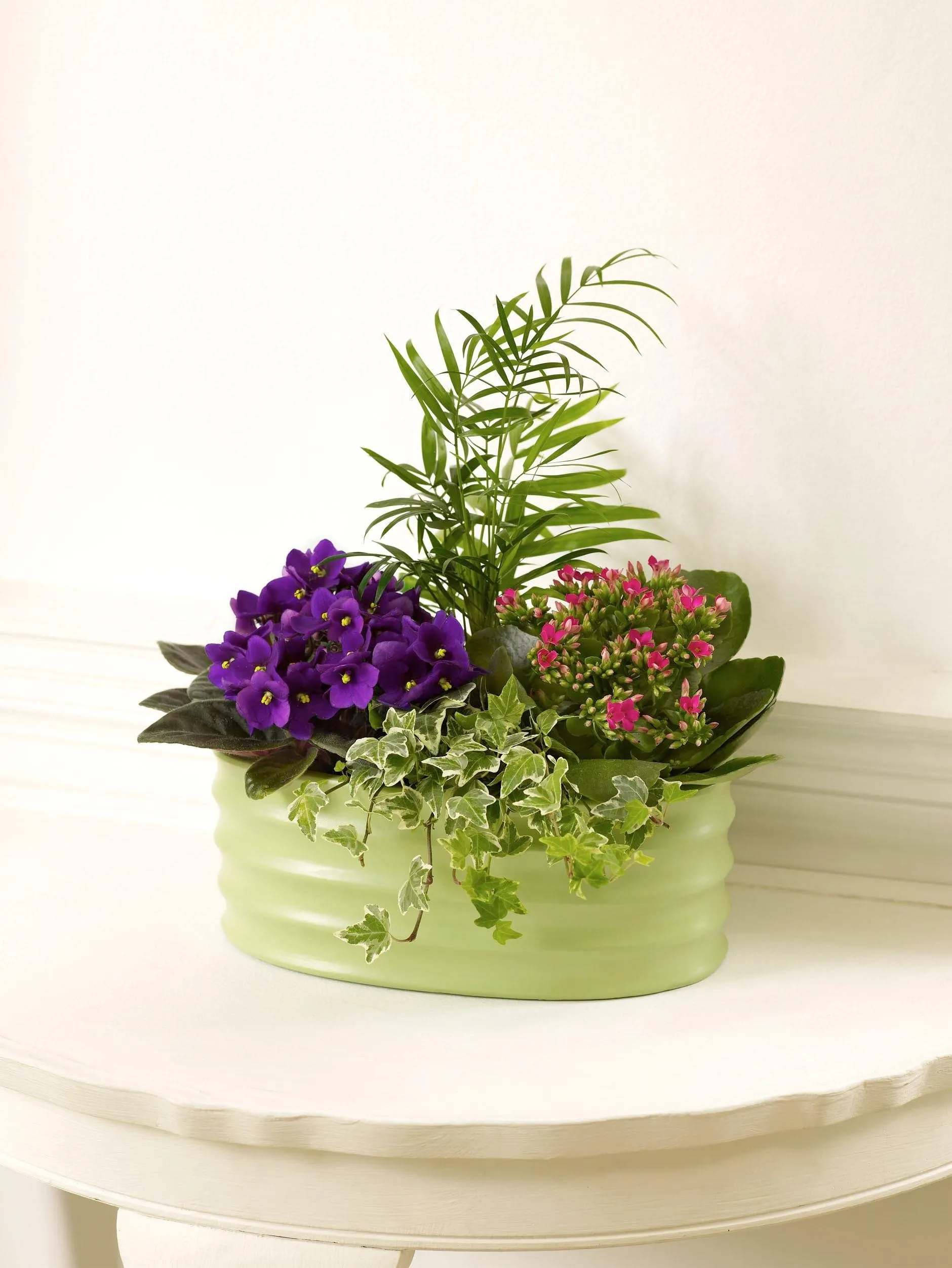 FLORIST CHOICE PLANT ARRANGEMENT