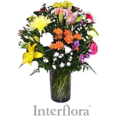 BRIGHT AND BEAUTIFUL