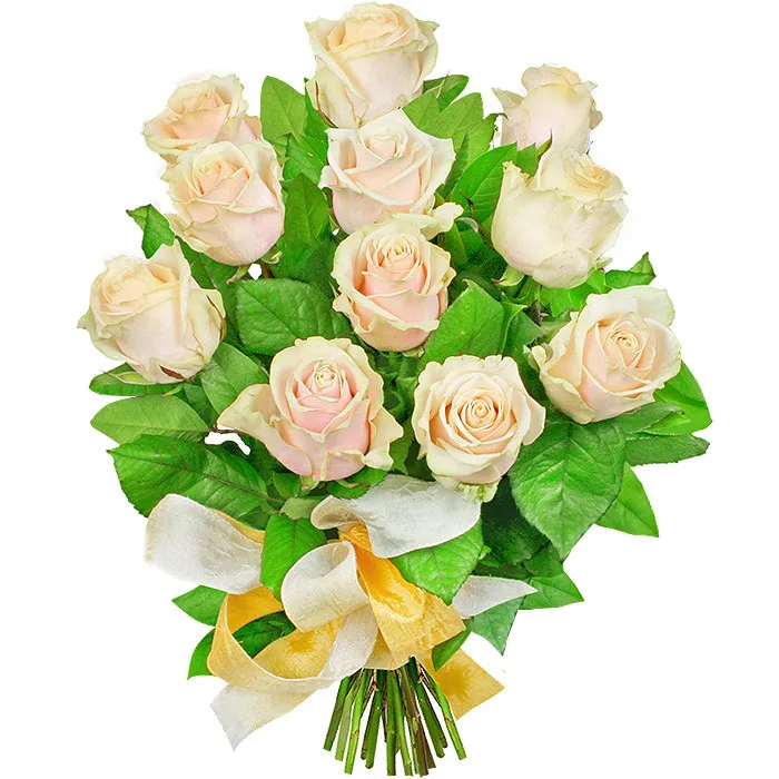Flowers Brilliance Morning, a bouquet of 11 creamy roses with a light ribbon