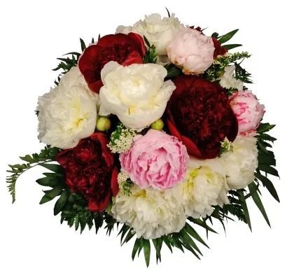 Bouquet of only peonies, colours acc to 1st or 2nd choice