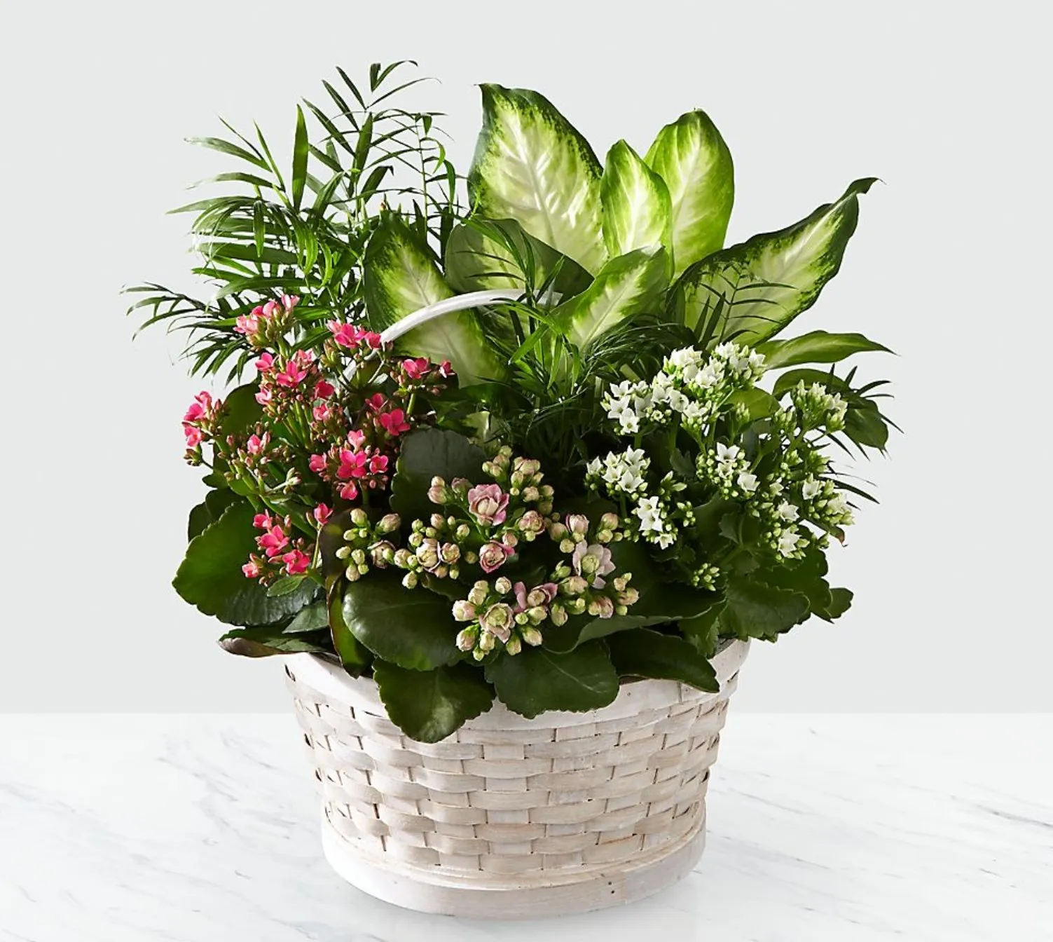Rural Beauty™ Dishgarden