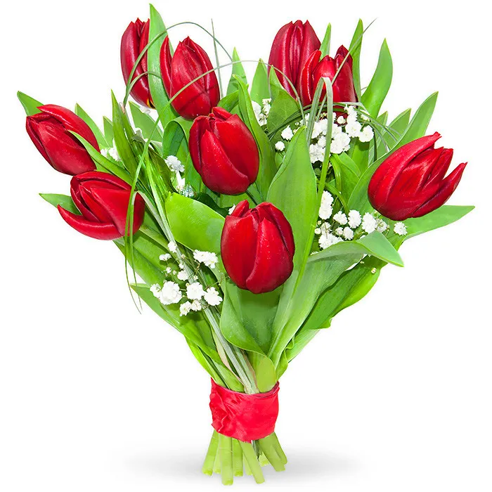 A hidden love, a bouquet of red tulips, tulips with gypsophila and decorative greenery.