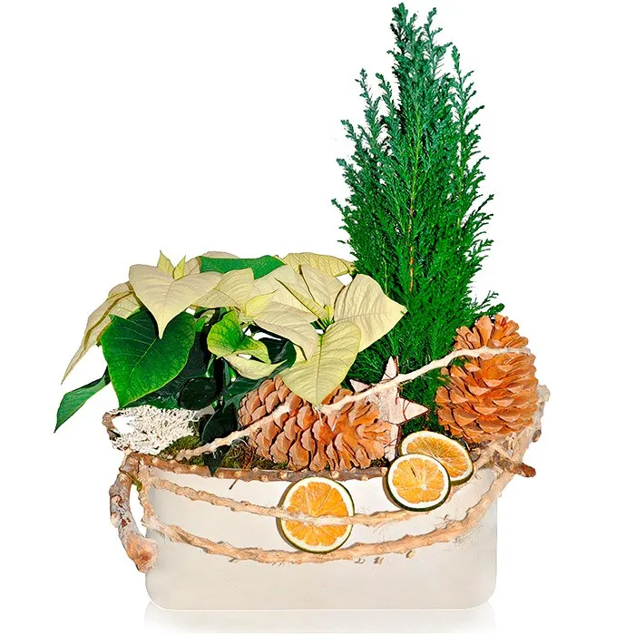 Exclusive centrepiece, centrepiece made of licence, cone, cypress, vine shoot, dried fruit, moss ceramic pot, exclusive centrepiece 