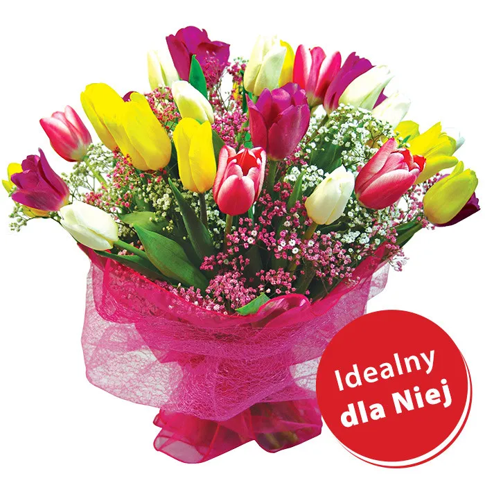 Tulip Rainbow, bouquet of 25 coloured tulips, tulips with gypsophila