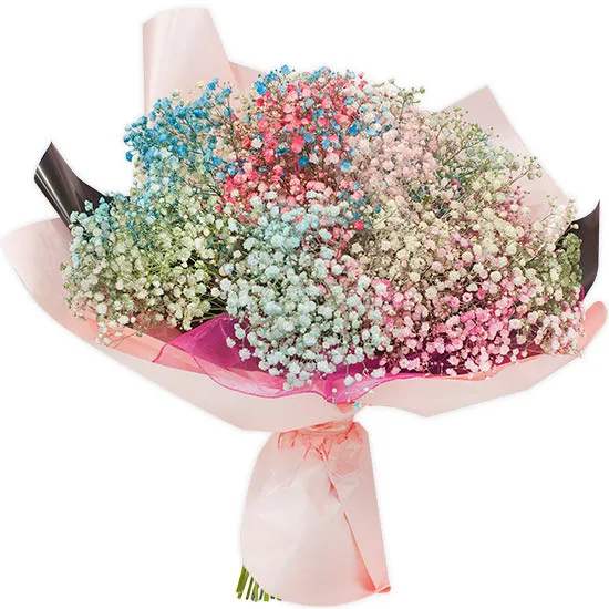 Bouquet of colored gypsophila - Poczta Kwiatowa® flowers with delivery