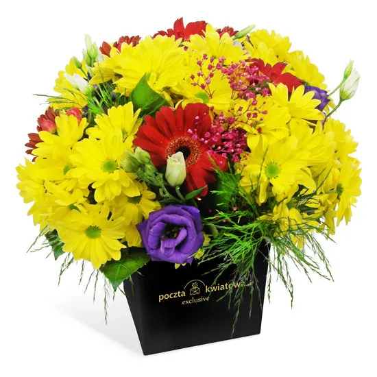 Czarne pudełko na kwiaty, żółte chryzantemy, fioletowa eustoma,czerwona gerbera w bukiecie