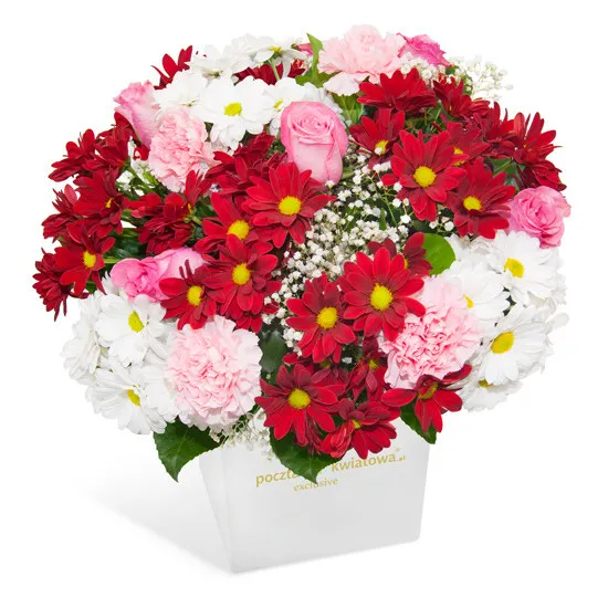 Composition beautiful dream, bouquet of flowers in a white box, red chrysanthemums, pink roses, pink carnation