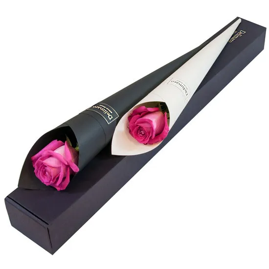 Pink rose in black cones, Pink rose in white cones