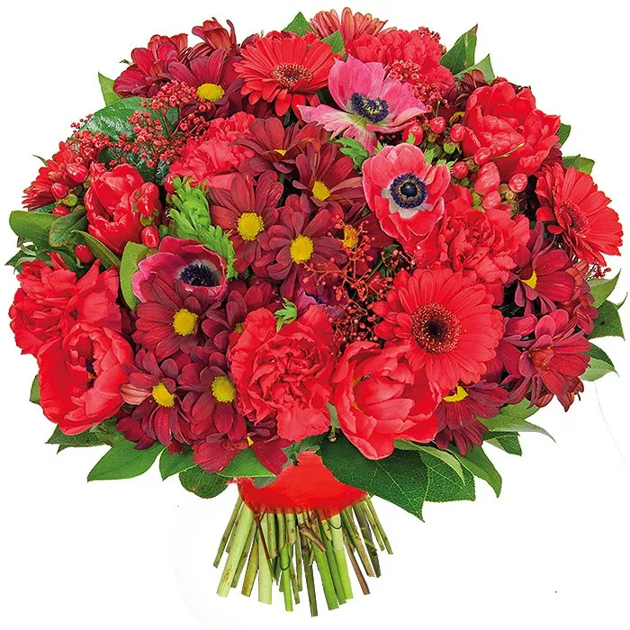 Tango bouquet, bouquet of gerbera, margaretes, anemones, tulips, carnations, hypericums, gypsophilaboards, decorative greenery, red flowers.