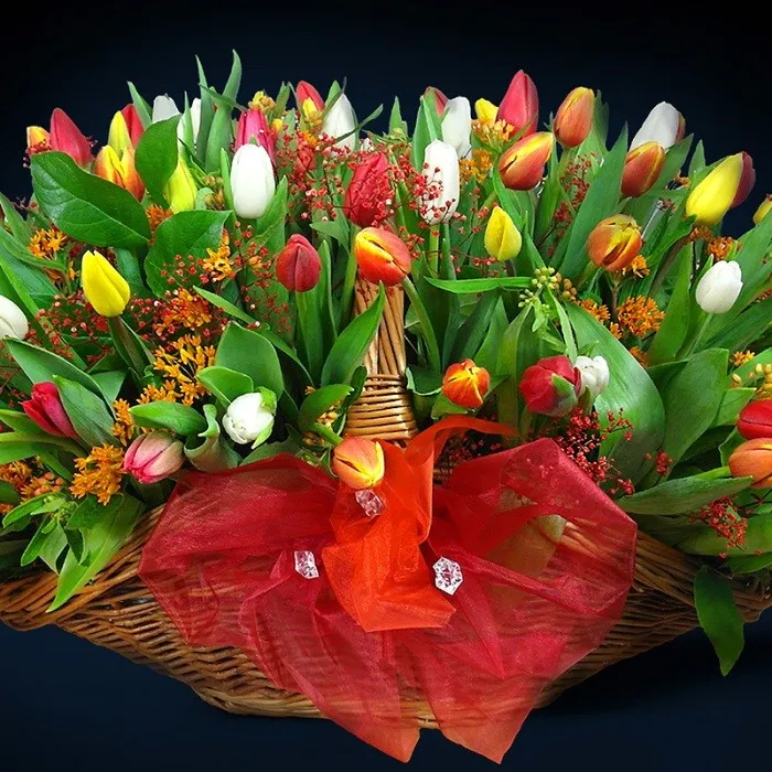 Tulipomania, wielobarwny bukiet tulipanów w koszu, oferta ekskluzywna