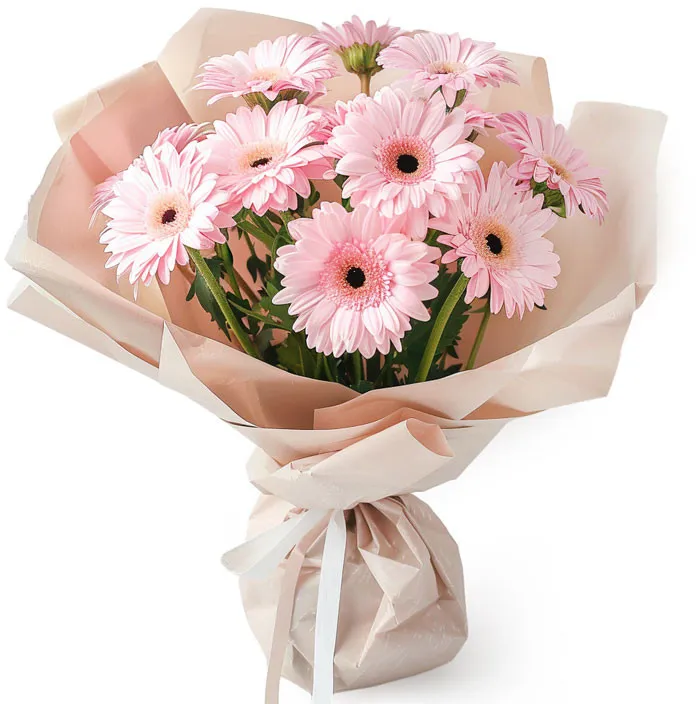 Bouquet of pink gerberas 