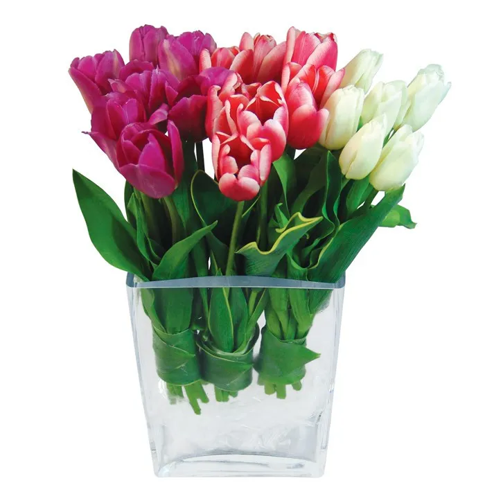 Three Shades of Love, tulips in a vase, tulips in three colours