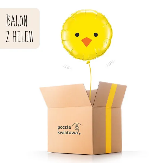 balon z helem kurczaczek, poczta balonowa, poczta kwiatowa, balon w kartonie