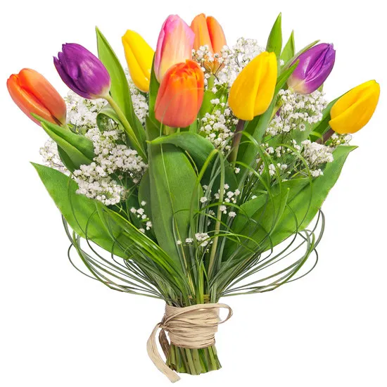 Flowers - colourful tulips, spring coposition, a bouquet of colourful tulips with delivery