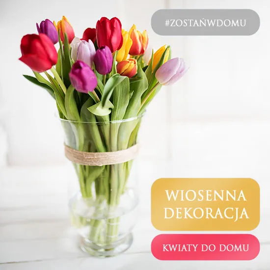 Bukiet kolorowych tulipanów, kwiaty do domu, tulipany w bukiecie