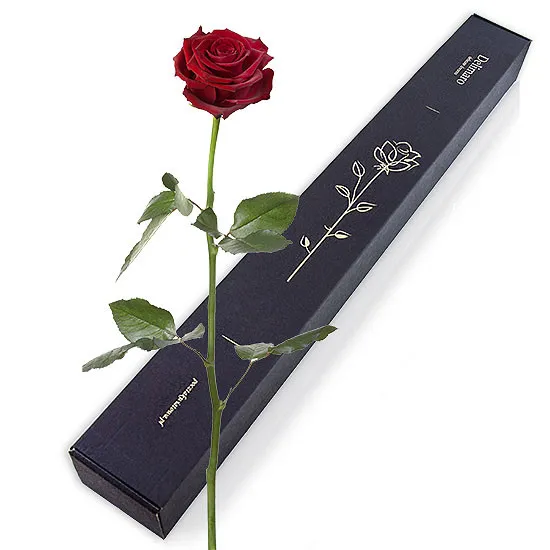 elegancka czerwona róża, pudełko na różę, róża z pudełkiem
