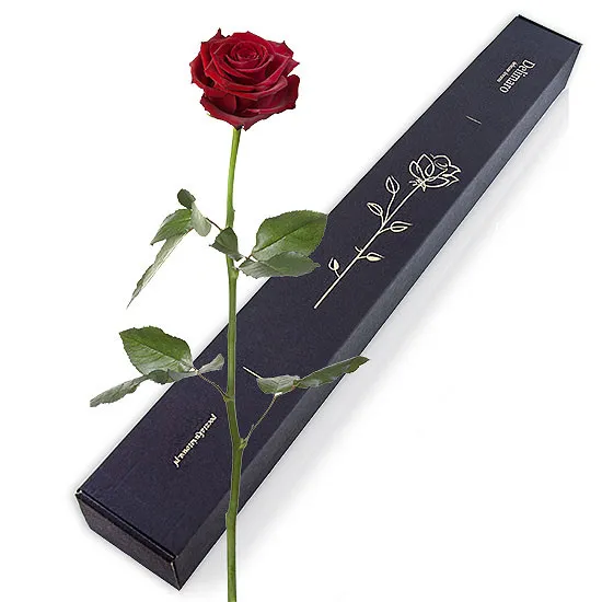 A rose in a tasteful box. Our florist will deliver it wherever you want it to go