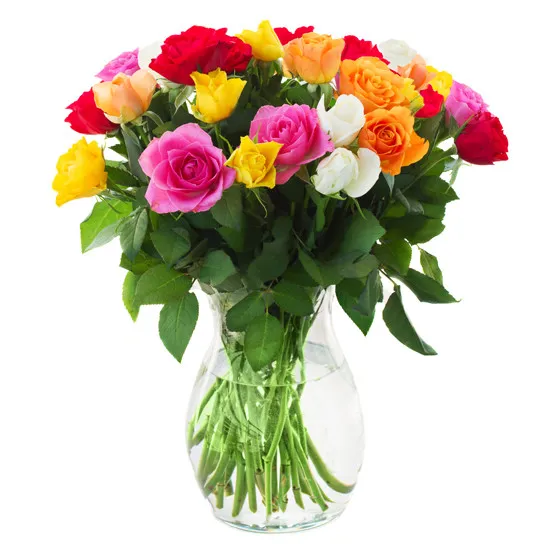 9-100 kolorowych róż! Wybierz taką liczbę kwiatów chcesz podarować swojej bliskiej osobie! 