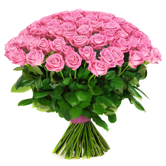 9-100 różowych róż! Wybierz taką liczbę kwiatów chcesz podarować swojej bliskiej osobie! 