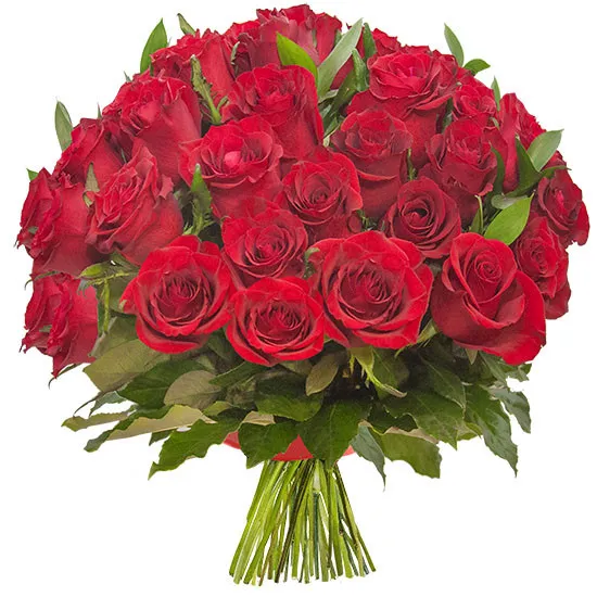 Bouquet of 30 roses with red ribbon - Poczta Kwiatowa® Flowers delivery services across whole country