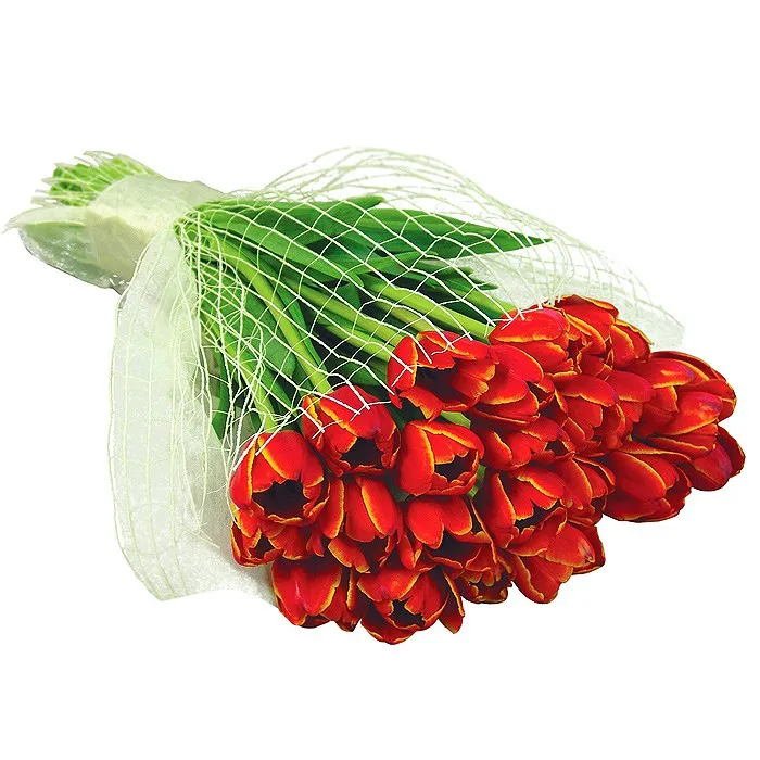 kwiaty tęsknię, 25 czerwonych tulipanów, bukiet tulipanów