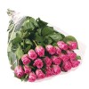 Bunch of 20 stems pink roses