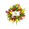 Tulipa