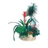 Arrangement of Plants