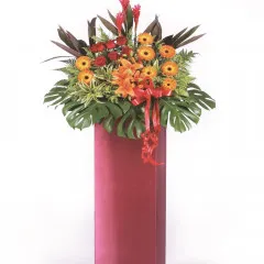 Gratulacje - Singapur