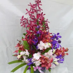 Arrangement with Orchids - Malaysia