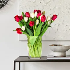Tulipany czerwone i białe - Armenia