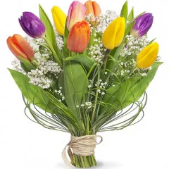 Colourful tulips - make a positive aura. Send flowers online!