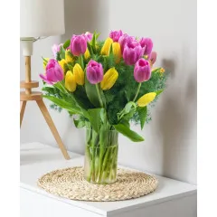 Tulipany Multicolor 013 - Uzbekistan