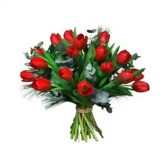 Czerwone tulipany - Uzbekistan