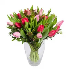 Czerwone i różowe tulipany - Kazachstan