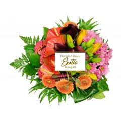 Exotica - Tunisia