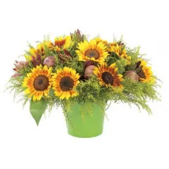 Summer Fun bouquet - Israel