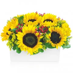 Be positive with sunflowers in dish!