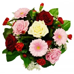 Flower Power - Chorwacja