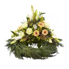 Wieniec - Wyspy Owcze