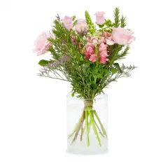 Poranna zorza - Czechy