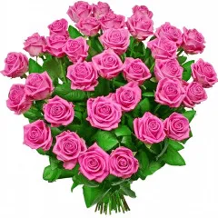 Roses can be a true poem - try it out!