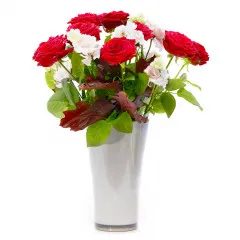 Miłosna wiadomość - Czechy