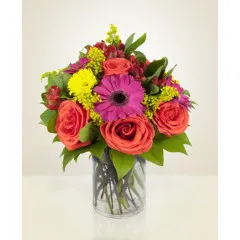 Nowocześnie - Rumunia