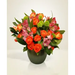 Kolorowy uśmiech - Rumunia