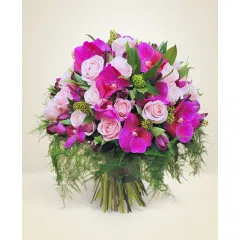 Wiosenny Prestiż - Rumunia