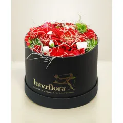 Myśląc o Tobie - Rumunia