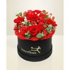 Czerwony Box - Rumunia