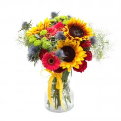 Letnia radość - Rumunia